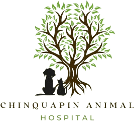 Chinquapin Animal Hospital
